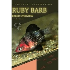 (영문도서) Ruby Barb: From Novice to Expert. Comprehensive Aquarium Fish Guide Paperback, Independently Published, English, 9798399481586