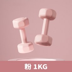 居家健身 塑身啞鈴 1-3公斤, 粉-1KG(單支), 1個