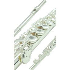 Elegant FL-2110 鍍銀開孔長笛, 詳見包裝