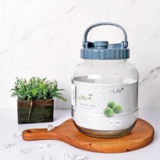 THE LIFE 더라이프 애플 유리 저장병 3.8L ※색상 랜덤발송, THE LIFE 더라이프 애플 유리 저장병 3.8L ※