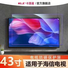 티비 화면보호기 65인치 커버 가드 액정 파손방지 TV, 1개, C. 43인치 하이신 방폭 커버