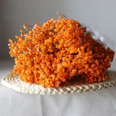 現貨 大把乾燥花 星辰/滿天星/情人草/卡斯比亞 乾燥花花束 永生花 情人節禮物 生日禮物 拍照道具背景 餐廳佈置, 100克/大把/大朵滿天星(香甜橘)