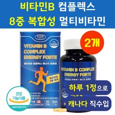 비타민B 컴플렉스 헬시위듀 수용성 비타민B군 에너지 영양제, 2세트, 90정