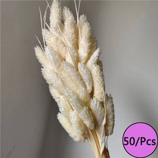 말린 꽃 토끼 꼬리 잔디 프리미엄 팜파스 리드 불멸의 꽃다발 재료 웨딩 파티 장식 식물, L4