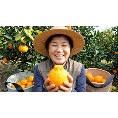 제주 서귀포 노지한라봉 한정판매, 1박스, 5kg