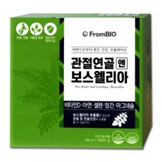 비타민D 아연 셀렌 망간 마그네슘 보스웰리아추출물 FromBIO 관절연골엔 보스웰리아 60정, 1박스, 51g