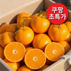 [농장직송] 달콤한 제주 천혜향 특품 당도선별 고당도 15Brix, 1박스, 천혜향 1kg