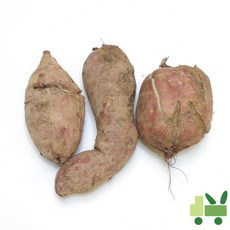 사라상회 호박고구마 10Kg (호박), 1개