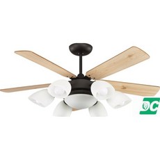 （修一）穩帝士吊扇60吋 原木黑 柚木砂鎳 DC吊扇 直流變頻 吊扇燈 6 1 夜燈 遙控 台灣製造