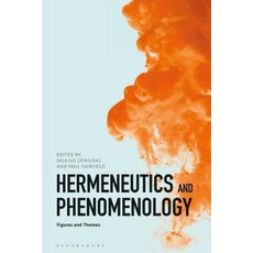 Hermeneutics and Phenomenology: Figures and Themes Hardcover, Bloomsbury Publishing PLC