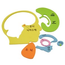뇌과학 두뇌구조이해 뇌지도 퍼즐판 역할극수업 만들기놀이 체험수업, 3개