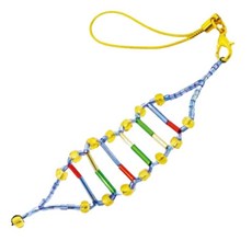 DNA 만들어보기 핸드폰 열쇠고리 10인 만들기세트 과학실험용 과학교구 diy키트, 1세트