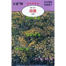 天星牌 蒔蘿Dill 種子 (M-121) - 野菜部屋穗耕種苗原包裝, 1包