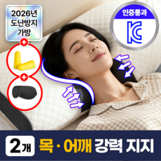 필모어 일자목 경추 숙면 베개 메모리폼, 2개, 펄화이트