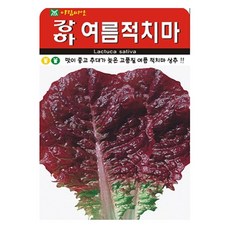 아람종묘 강하 여름적치마 상추 씨앗 2000p, 1개