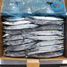 바다더해 도매 꽁치 1번 업소용 냉동 꽁치 구이 찜 찌개 생선구이, 1박스, 9.63kg
