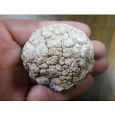 §能量礦石§ 泰國宗教礦物腦舍利，提升專注力，舒緩壓力，帶來平靜能量, 1個