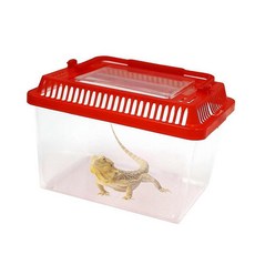 곤충채집 곤충채집통, 상품선택