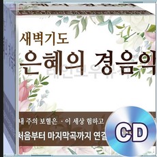 2CD 찬양 복음 은혜 힐링 새벽기도 경음악 배주의보혈은 이세상험하고 연주