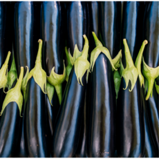 [신일농산] 국내산 가지 5kg, 1박스, 5kg (상)