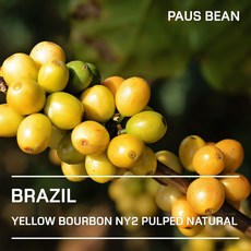 생두대빵 브라질 옐로우 버번 NY2 생두, 1개, 500g