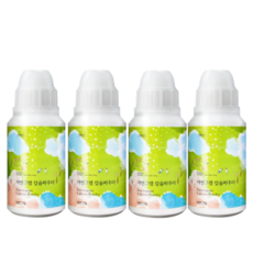 홀리데이 칼슘파우더 과일세정제, 150g, 4개