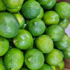 멕시코 생라임, 1박스, 중과10과(850g)