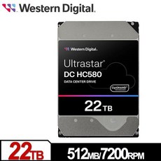 WD Ultrastar DC HC580 22TB 3.5吋企業級硬碟(0F62785) 彩盒裝公司貨