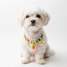 하니펫 강아지 고양이 예쁜 큐티 방울 목걸이, 1개, 옐로우