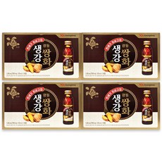광동 생강쌍화 생강쌍화농축액, 120ml, 40개
