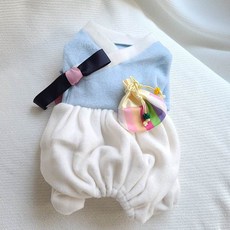 글 뽀송 강아지 한복, 올인원, 1개