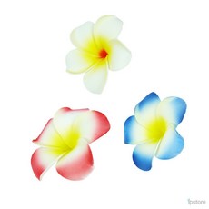 라프샵 인테리어식물 하와이 꽃, 레드