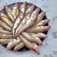 동해안 도루묵 구이 조림 1kg