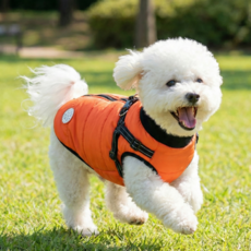 [루루앤코]강아지 등 지퍼형 패딩 / 앞다리 안끼는 편한 디자인, 1개, 오렌지