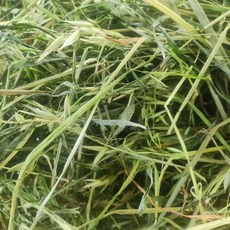 寵物燕麥草 高纖維飼料 幫助消化 磨牙草 適用兔子天竺鼠倉鼠 1公斤, 1個
