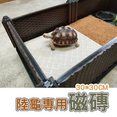 陸龜專用 磁磚 30x30cm 磨甲板, 1個, 磁磚 30*30CM, N/A
