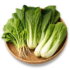 국내산 열무와 얼갈이 세트 봄 김치 겉절이 담기, 1박스, 2kg (열무1kg 얼갈이1kg)