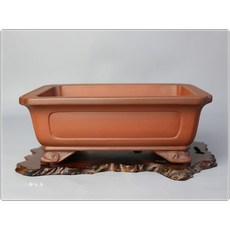 小樹安每 中國盆缽-中國宜興 朱泥外緣額面雲足長方鉢 24cm, 1個