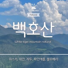 [뉴크롭2025] 운남생두 백호산내추럴 무산소내추럴 생두, 1kg, 1개