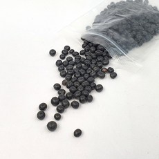 리빙큐큐 가정용 교육용 콩나물재배기+햇콩나물콩 선택주문, 03.국산콩나물콩 1회분 추가구매, 1개