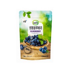뉴뜨레 냉동 블루베리, 1kg, 1개