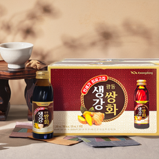 광동 생강쌍화 생강쌍화농축액, 120ml, 20개