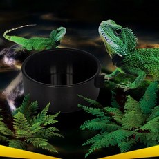 크레스티드게코 물그릇 도마뱀 파충류 급수기 식기 파충류사육장 크레스티드게코사육장 도마뱀키우기 도마뱀사육장, 블랙, 1개