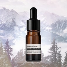 [아로마티끄] 석고방향제 오일-10ml 스톤 디퓨저 리필 실내 차량용 프래그런스, 1개, 10ml, 019. 실버마운틴워터