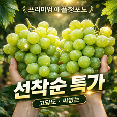 [한정특가] 씨없는 애플청포도 고당도 당도보장 껍질째먹는 프리미엄, 1개, 500g