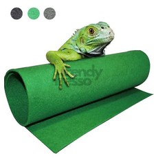 도마뱀 파충류 집 거북이 흡수 매트 패드 40x60cm 도마뱁매트 거북이 개구리 파총류 육지, 그린40x60cm_x000D_