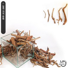 미미네아쿠아 일자 잔가지유목 (소) 3개, 1세트