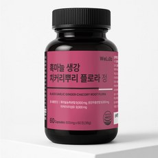 플로라 국내산 흑마늘 치커리뿌리 생강 60정 영양관리 플로라정, 1개