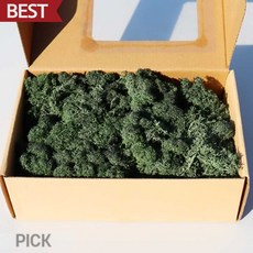 모나코플라워 스텔라 모스이끼(0605 딥그린) 200g kdy*91076US, 딥 그린 [0605] 200g, 1개