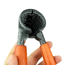 호두까기 호두까기 종류